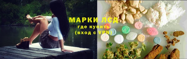 стафф Касимов