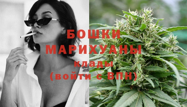 стафф Касимов