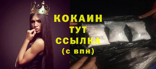 стафф Касимов