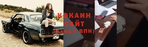 стафф Касимов