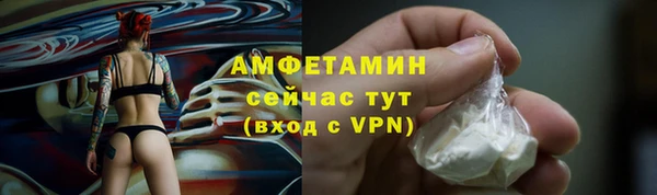 дурь Карпинск