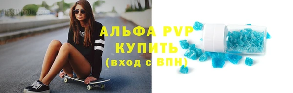 стафф Касимов