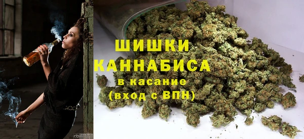 дурь Карпинск