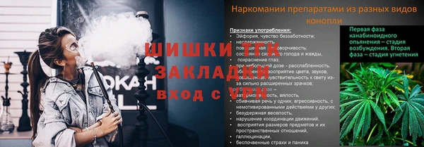 стафф Касимов