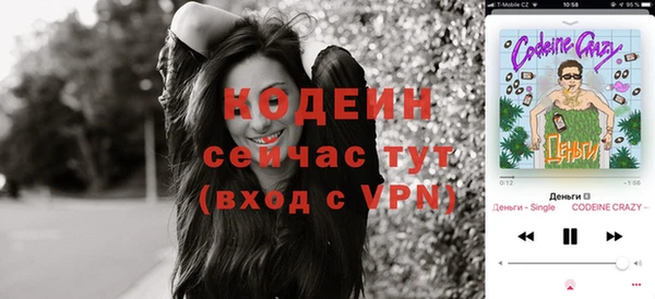 дурь Карпинск