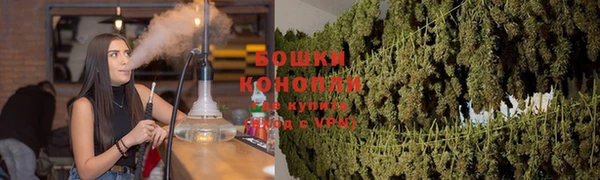 стафф Касимов