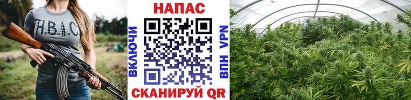 Канабис семена  Купить где  Козьмодемьянск 